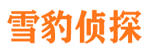 绿园市私家侦探